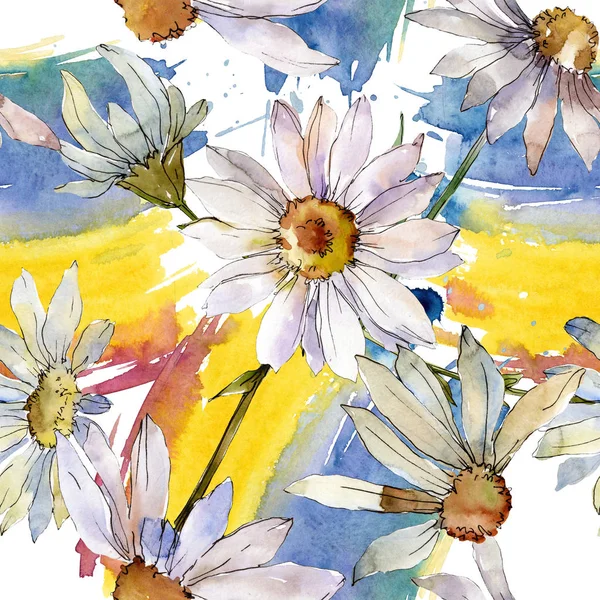 Fleur botanique florale marguerite blanche. Ensemble d'illustration de fond aquarelle. Modèle de fond sans couture . — Photo