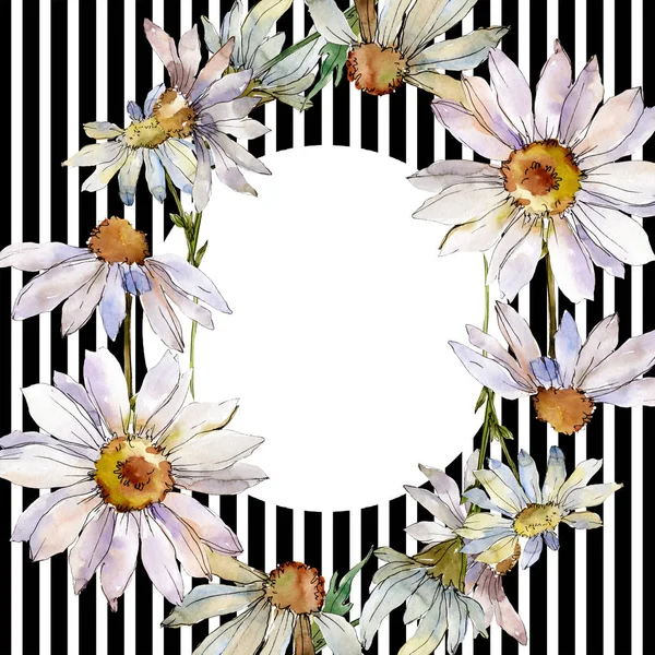 Weißes Gänseblümchen Blumen botanische Blume. Aquarell Hintergrundillustration Set. Rahmen Rand Ornament Quadrat. — Stockfoto