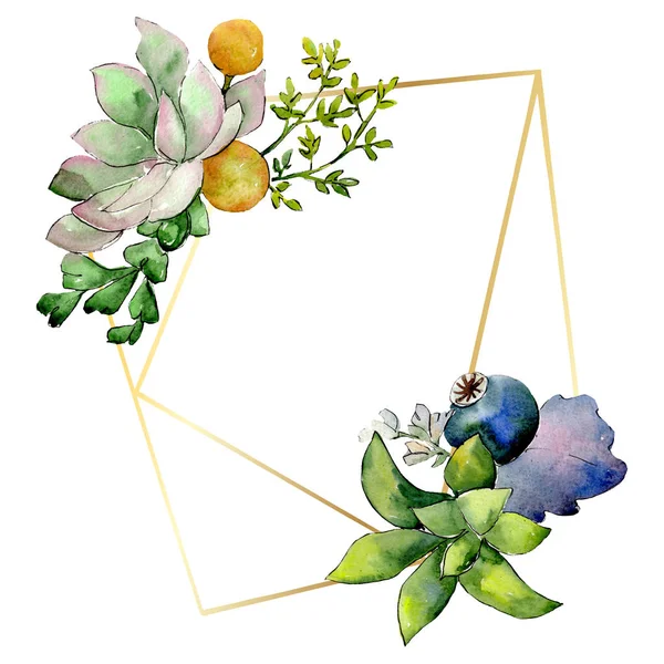 Bouquets com flores botânicas suculentas. Conjunto de ilustração de fundo aquarela. Quadro borda cristal ornamento quadrado . — Fotografia de Stock