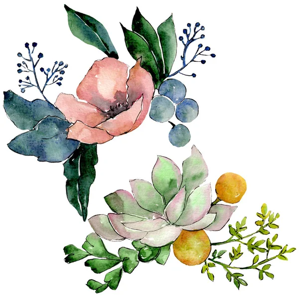 Bouquets avec de succulentes fleurs florales botaniques. Ensemble de fond aquarelle. Elément d'illustration succulents isolés . — Photo