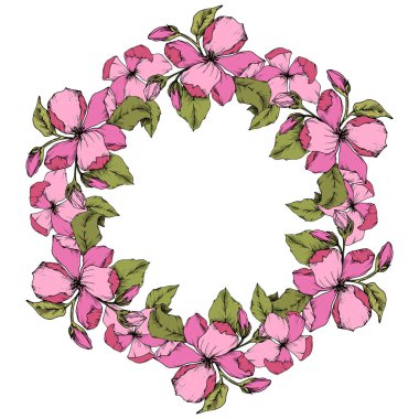 Vektör pembe elma çiçeği botanik çiçek. Oyulmuş mürekkep sanat. Çerçeve kenarlığı süsleme kare beyaz arka plan üzerinde.