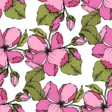 Vektör pembe elma çiçeği botanik çiçek. Oyulmuş mürekkep sanat. Sorunsuz arka plan deseni.