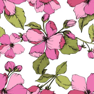 Vektör pembe elma çiçeği botanik çiçek. Oyulmuş mürekkep sanat. Sorunsuz arka plan deseni.