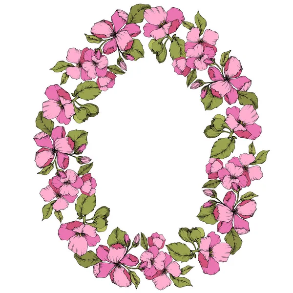 Fiore di mela rosa vettoriale fiore botanico floreale. Incisione a inchiostro art. Quadrato ornamento bordo cornice su sfondo bianco . — Vettoriale Stock