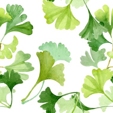Ginkgo biloba yeşil yaprakları. Suluboya arka plan illüstrasyon küme. Sorunsuz arka plan deseni.