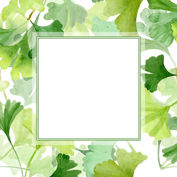 Ginkgo biloba folhas verdes. Conjunto de ilustração de fundo aquarela. Quadro borda ornamento quadrado . — Fotografia de Stock