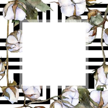 Beyaz pamuklu botanik çiçek. Suluboya arka plan illüstrasyon küme. Çerçeve kenarlığı süsleme Meydanı.