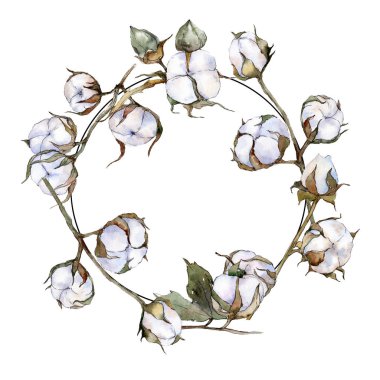 Beyaz pamuklu botanik çiçek. Suluboya arka plan illüstrasyon küme. Çerçeve kenarlığı süsleme Meydanı.