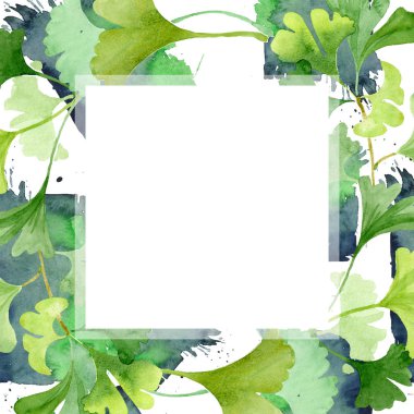 Ginkgo biloba yeşil yaprakları. Suluboya arka plan illüstrasyon küme. Çerçeve kenarlığı süsleme Meydanı.