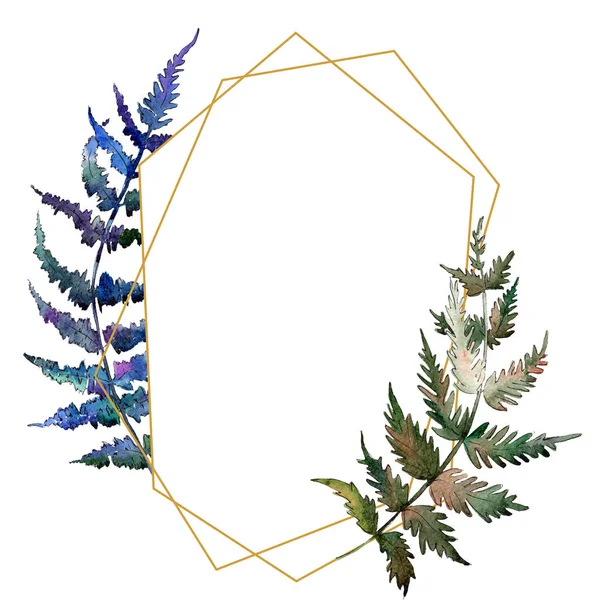 Fern Green leaf. Planten tuin floral gebladerte. Aquarel achtergrond afbeelding instellen. Frame grens ornament vierkant. — Stockfoto