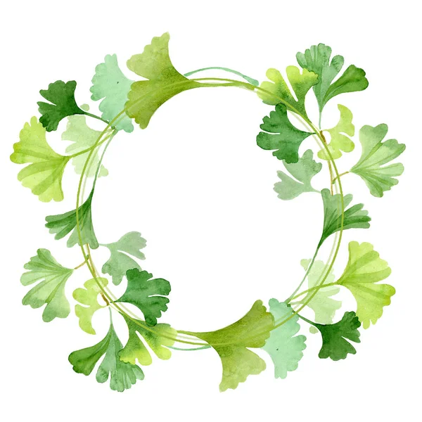 Ginkgo biloba groene bladeren. Aquarel achtergrond afbeelding instellen. Frame grens ornament vierkant. — Stockfoto