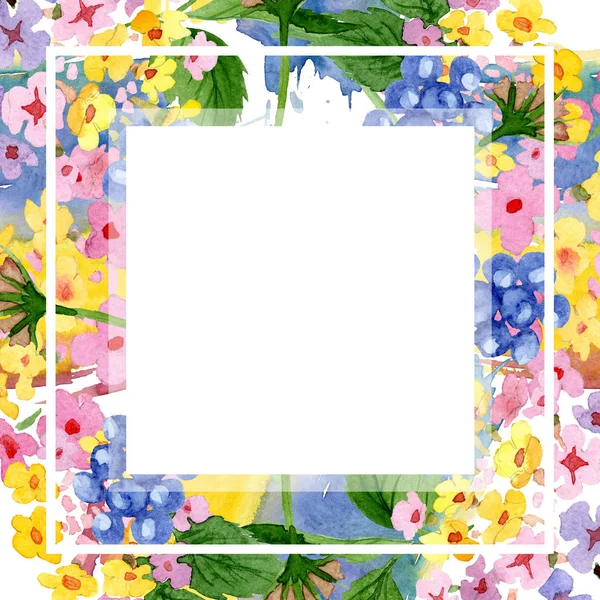 粉红色的兰塔纳花植物花。水彩背景插图集。框架边框装饰正方形. — 图库照片