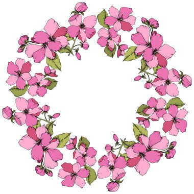 Vektör pembe elma çiçeği botanik çiçek. Oyulmuş mürekkep sanat. Çerçeve kenarlığı süsleme kare beyaz arka plan üzerinde.