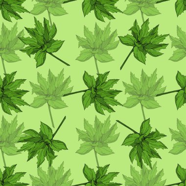 Vektör orman botanik etli çiçek. Mürekkep sanat illüstrasyon kazınmış. Sorunsuz arka plan deseni.