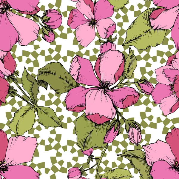 Vektor Pink Apple květinové botanické květu. Ryté inkoust umění. Vzor bezešvé pozadí. — Stockový vektor