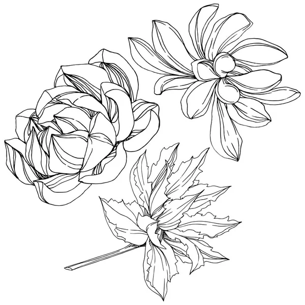 Flor suculenta botánica de la selva vectorial. Tinta grabada en blanco y negro. Elemento ilustrativo de suculentas aisladas . — Vector de stock