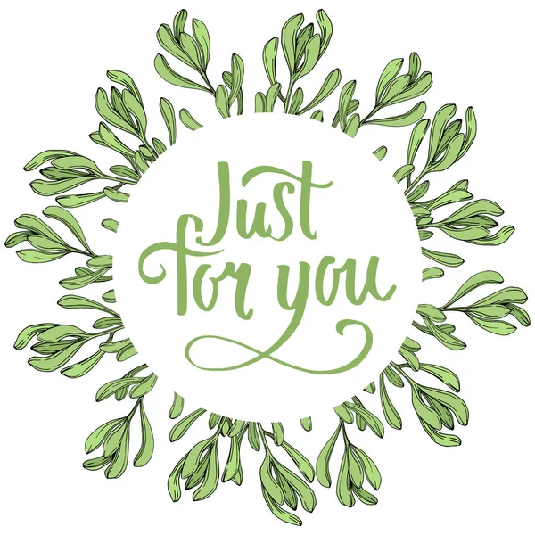 Vektör orman botanik etli çiçek. Mürekkep sanat illüstrasyon kazınmış. Çerçeve kenarlığı süsleme Meydanı.