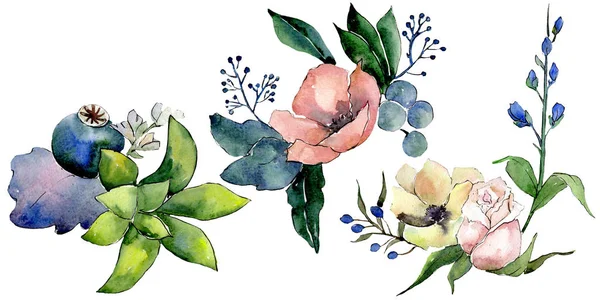 Bouquets com flores botânicas florais suculentas. Conjunto de fundo aquarela. Isolado suculentas ilustração elemento . — Fotografia de Stock