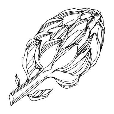 Vektör orman botanik etli çiçek. Siyah ve beyaz mürekkep sanat kazınmış. İzole succulents illüstrasyon öğesi.