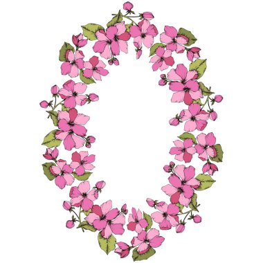 Vektör pembe elma çiçeği botanik çiçek. Oyulmuş mürekkep sanat. Çerçeve kenarlığı süsleme kare beyaz arka plan üzerinde.