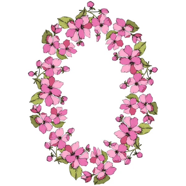 Διάνυσμα ροζ Apple blossom floral βοτανικό λουλούδι. Χαραγμένο μελάνι τέχνης. Πλατεία στολίδι σύνορα πλαίσιο σε λευκό φόντο. — Διανυσματικό Αρχείο