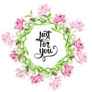 Pembe Gül süsleme botanik çiçek. Suluboya arka plan illüstrasyon küme. Çerçeve kenarlığı süsleme Meydanı.