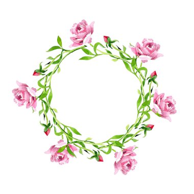 Pembe Gül süsleme botanik çiçek. Suluboya arka plan illüstrasyon küme. Çerçeve kenarlığı süsleme Meydanı.