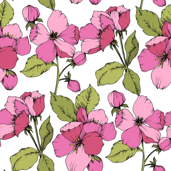 Vektor rosa Apple blossom blommig botaniska blomma. Graverade bläck konst. Sömlös bakgrundsmönster. — Stock vektor