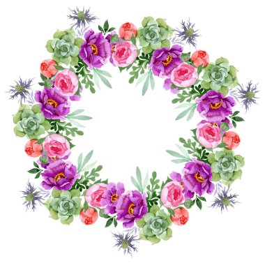 Şakayık ve etli buket botanik çiçek. Suluboya arka plan illüstrasyon küme. Çerçeve kenarlığı süsleme Meydanı.