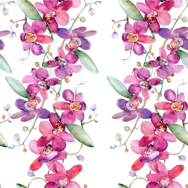 Pink orchid bouquet blommor botaniska blomma. Akvarell bakgrund illustration set. Sömlös bakgrundsmönster. — Stockfoto