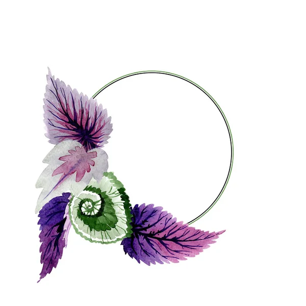 Begonia hojas verdes y moradas. Conjunto de ilustración de fondo acuarela. Marco borde ornamento cuadrado . — Foto de Stock
