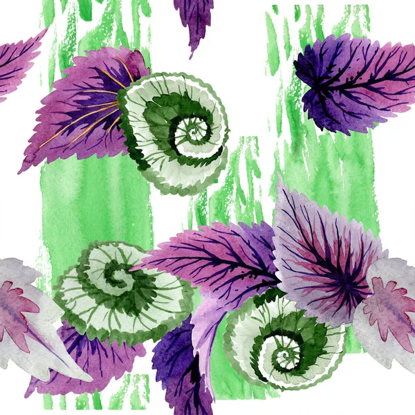 Begonia green and purple leaves. Watercolor background illustration set. Seamless background pattern. — Stock Photo, Image