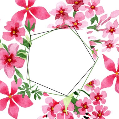 Pembe phlox foral botanik çiçek. Suluboya arka plan illüstrasyon küme. Çerçeve kenarlığı süsleme Meydanı.