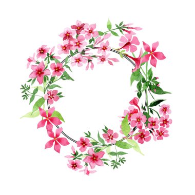 Pembe phlox foral botanik çiçek. Suluboya arka plan illüstrasyon küme. Çerçeve kenarlığı süsleme Meydanı.