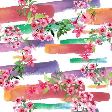 Pembe phlox foral botanik çiçek. Suluboya arka plan illüstrasyon küme. Sorunsuz arka plan deseni.