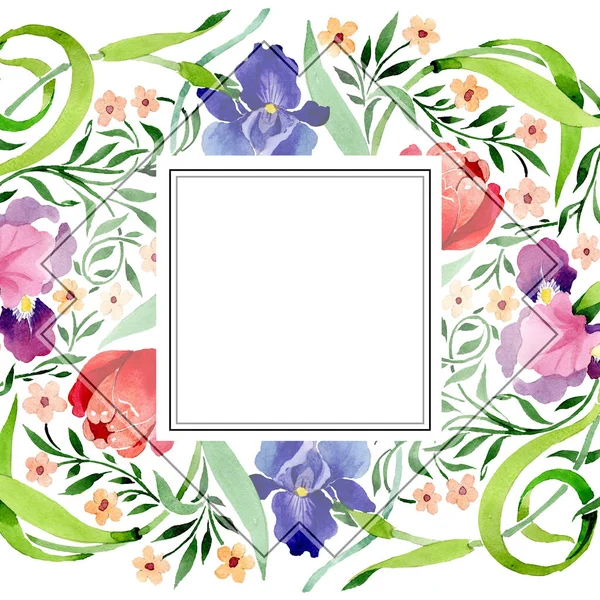 Ίριδες και τουλίπες βοτανικό λουλούδι στολίδι. Ακουαρέλα φόντο εικόνα σύνολο. Πλαίσιο συνόρων στολίδι τετράγωνο. — Φωτογραφία Αρχείου