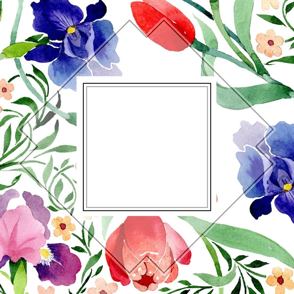 Íris e tulipas ornamento flor botânica. Conjunto de ilustração de fundo aquarela. Quadro borda ornamento quadrado . — Fotografia de Stock