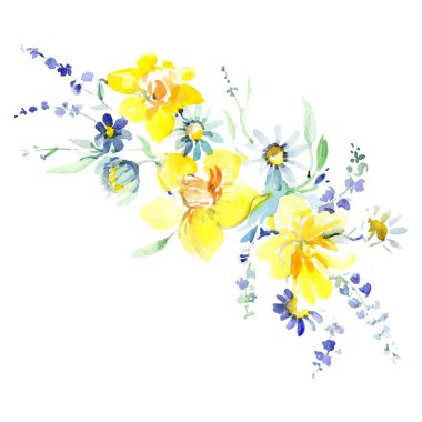 Sarı nergis buket botanik çiçek. Suluboya arka plan ayarlamak. İzole buket illüstrasyon öğesi.