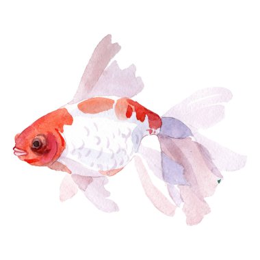 Su sualtı renkli tropikal balık seti. Suluboya arka plan ayarlamak. İzole goldfish illüstrasyon öğesi.