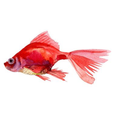 Su sualtı renkli tropikal balık seti. Suluboya arka plan ayarlamak. İzole goldfish illüstrasyon öğesi.