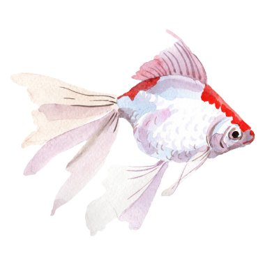 Su sualtı renkli tropikal balık seti. Suluboya arka plan ayarlamak. İzole goldfish illüstrasyon öğesi.