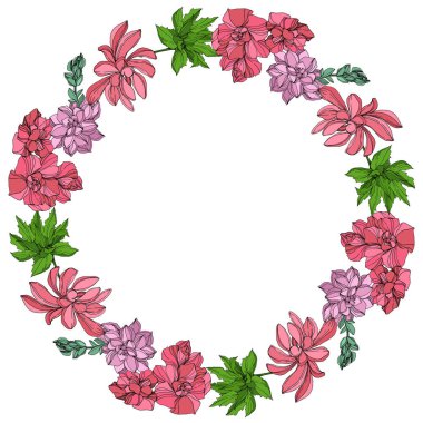 Vektör orman botanik etli çiçek. Mürekkep sanat illüstrasyon kazınmış. Çerçeve kenarlığı süsleme Meydanı.