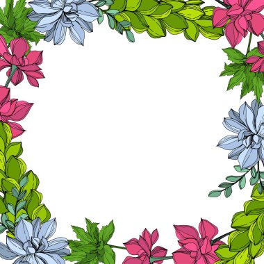 Vektör orman botanik etli çiçek. Mürekkep sanat illüstrasyon kazınmış. Çerçeve kenarlığı süsleme Meydanı.