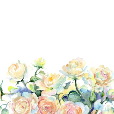 Bej renkli gül buket botanik çiçek. Suluboya arka plan illüstrasyon küme. Çerçeve kenarlığı süsleme Meydanı.