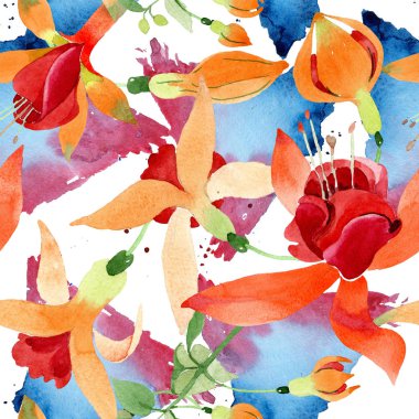 Kırmızı turuncu fuşya botanik çiçek. Suluboya arka plan illüstrasyon küme. Sorunsuz arka plan deseni.