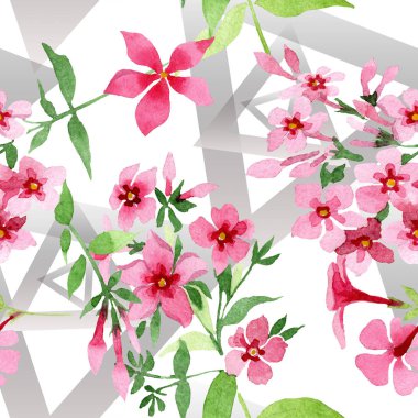 Pembe phlox foral botanik çiçek. Suluboya arka plan illüstrasyon küme. Sorunsuz arka plan deseni.