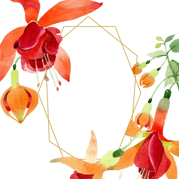 Röd orange fuchsia blommig botaniska blomma. Akvarell bakgrund illustration set. Ram gränsen prydnad square. — Stockfoto