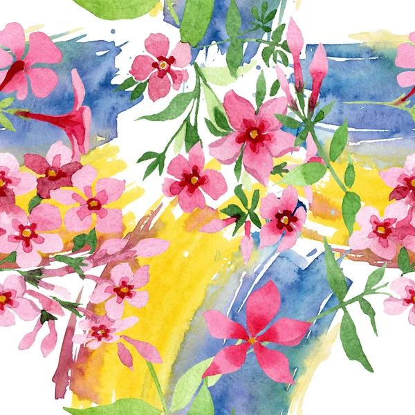 Flor botânica foral flox rosa. Conjunto de ilustração de fundo aquarela. Padrão de fundo sem costura . — Fotografia de Stock