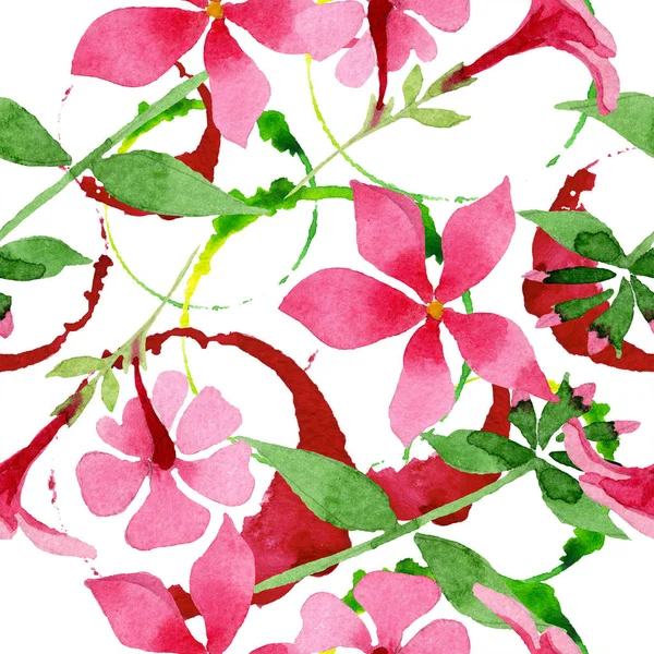 Flor botánica foral de flex rosa. Conjunto de ilustración de fondo acuarela. Patrón de fondo sin costuras . — Foto de Stock