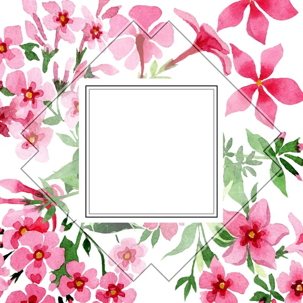 Roze phlox foral botanische bloem. Aquarel achtergrond afbeelding instellen. Frame grens ornament vierkant. — Stockfoto